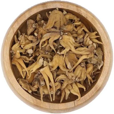 ثعلب (Salep Powder)